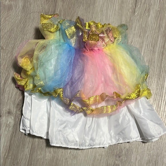 Colorful Tulle Skirt with Gold Accents - Picture 1 of 1